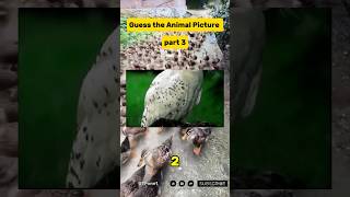 test your intelligence. if challenged #games #guessthepicture #fyp #shorts
