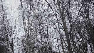 ieie - Coder (mood video Moscow version)