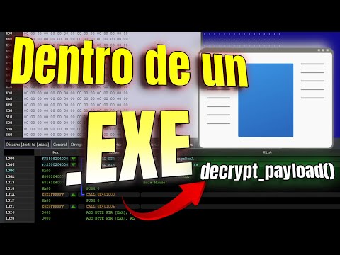 This is what's inside an .EXE file (Reverse Engineering)