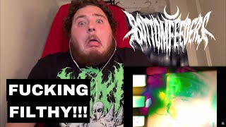 Bottomfeeders - Metaphysical Paradox - Reaction/Review