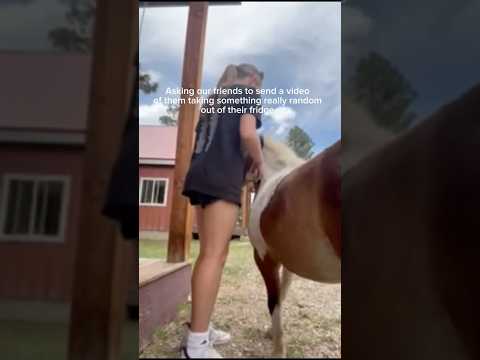 We asked and they delivered #shorts  #viralvideo #summer #trending #friends #foryou #foryoupage