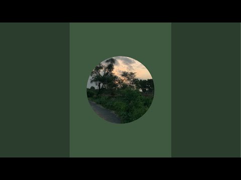 Nature Photography is live