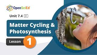 Unit 7.4 Lesson 1 Planning Video | OpenSciEd On-Demand Resources
