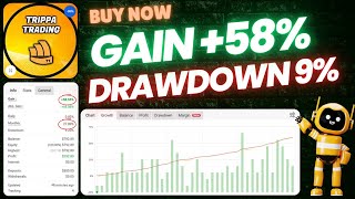 Can an AI Really Trade for You? Trippa AI Trading Bot (MT4/MT5 Full Review)