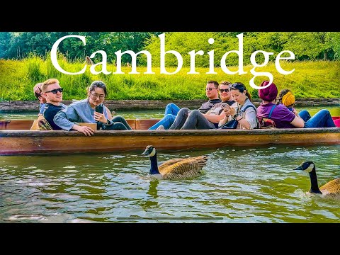 Slow Punting (boating) experience of Cambridge | Real-Time River Cam ASMR Experience- Trawellbeings