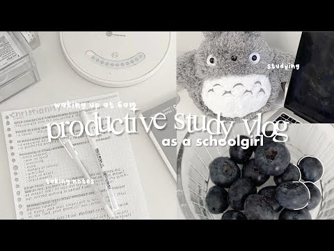 waking up at 6am study vlog: back to skl, taking notes, productive studying