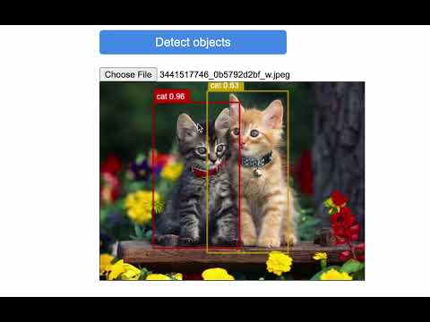 tensorflowjs  and javascript image recognition with cocco ssd