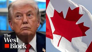 Canada not going to "escape the Eye of Sauron" when it comes to Trump tariffs: Trade expert