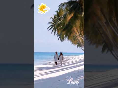 REGGAE MIX 2024 🧡❤️ MOST REQUESTED REGGAE LOVE SONGS 2024
