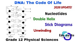 DNA: The Code Of Life - 2026 updated version (Grade 12 Life Sciences)