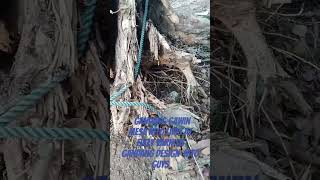 #explore #nature #watchandlearn