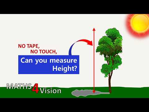 M4V◉ | Simple Shadow Method for Measuring Tree Height | Basic of Trigonometry