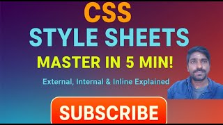 Master CSS Style Sheets in 14 Minutes! 🔥 | External, Internal & Inline CSS Explained
