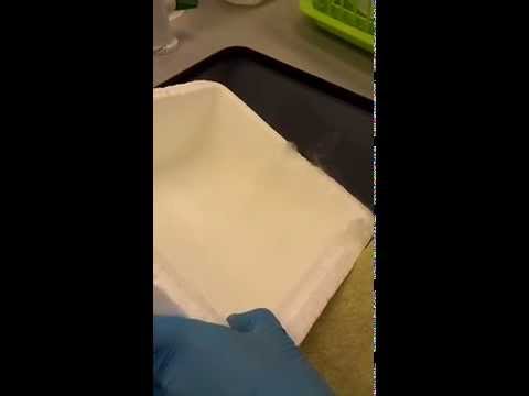 Dry Ice in PolyU Hong Kong (better not to have too many expectations)
