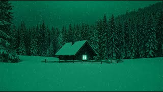 ＣＡＬＭ　ＷＩＮＴＥＲ.