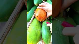 #shorts #agritools #farming2024 #agriculture  #JIKreactionagritools in farming 2024