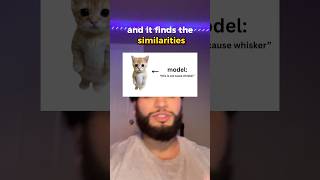 Machine Learning explained in 15 seconds 🤖 #ai #programmer #softwaredev #wgitachi #chatgpt #fyp