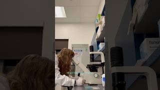 A day in the lab at the MacVicar lab #neuroscience