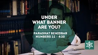 Parashat Bamidbar - What Banner are You Under? (English/español)