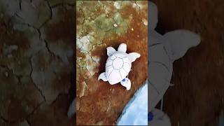 Make walking turtle at home | diy robot #diy #wastematerialcraft #craft #robotkit