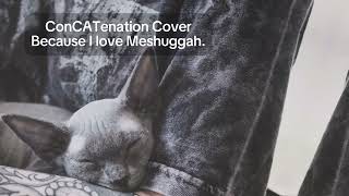 Concatenation by Meshuggah (Cover)