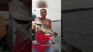 Tony’s epic catch & release with Captain Bill Goudy! 🐟 #shorts #fishingfun