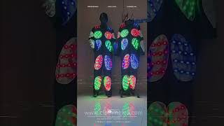 Led-emitting programmable clothing