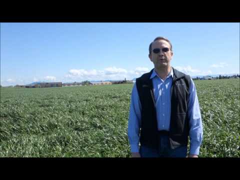 Pinpoint: Summer Forage Feed Gaps