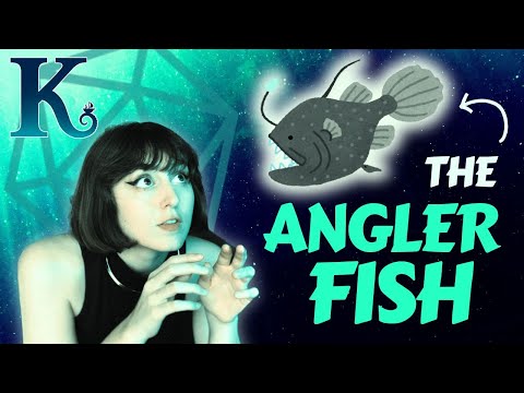 One Trick to instantly Elevate your D&D / TTRPG Mysteries - Kraken Week