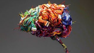 GENETIC ALGORITHMS (a visual demo)