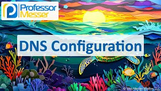 DNS Configuration - CompTIA A+ 220-1201 - 2.4