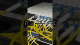 What is IGMP? | ioNIC Supported Network Protocols