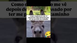 I ARRIVED IN BRAZIL #trucks #automobile #memes