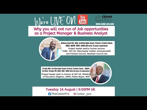 Why You Will Not Run Out Of Job Opportunities As A Project Manager or Business Analyst