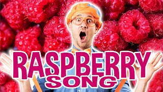 Raspberry Song | Educational Songs For Kids