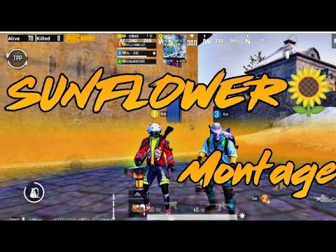Sunflower🌻Montage! ZEUS_YT| AXOM| Lets Go|