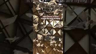 #koreanwords #triptokorea #koreantrip #traveltokorea #koreantravel