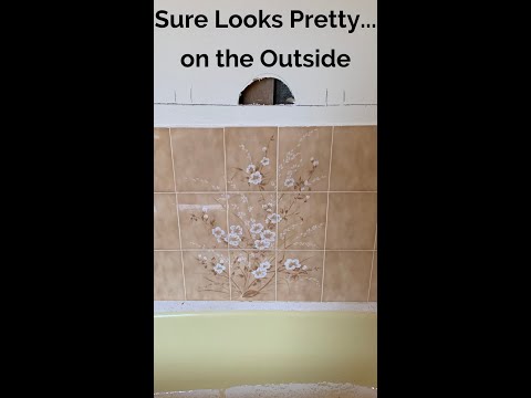 What's in your walls?
