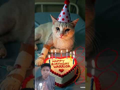 #o #cat #animalintelligence #cake #funny#cute #aiandcats #aicats #kitten #cutecat#happybirthday