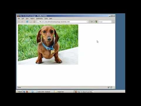How to Insert an Image in a Webpage (HTML / XHTML)  2019