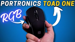 Should You Buy This Budget Mouse ?