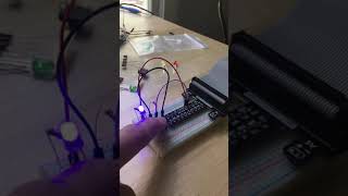 Module 4 -  Raspberry Pi project
