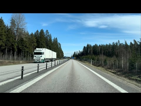 Enjoying Spring on this Soothing Drive - Ambient, No Talking & No Music