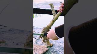 #agritools #farmer life #tonglufeng #agriculture #agritool #youtubeshorts #viral