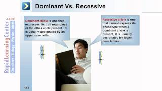 Rapid Learning: Mendelian Concepts - Principles of Genetics