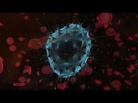 Can We Eat A Tumor? [No Ads]