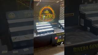 Expotable at the Terraria in Houten 🔥 #pythonregius #ballpython #snake