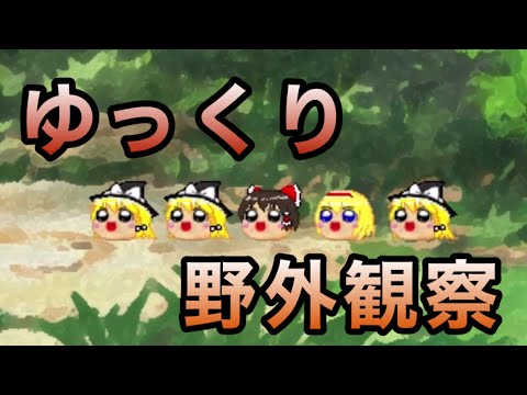 ゆっくり野外観察【ボイス付き】【ゆっくり八景】