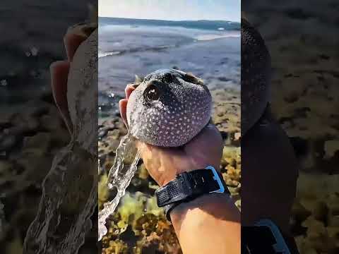 Is 4K Video Even Worth It?
