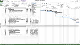 Versatile Company's Microsoft Project Tutorials: Fast Interactive Filtering